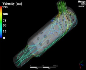 Figure from article: Cold flow modeling of the...
