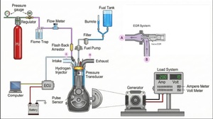 Figure from article: Synergistic effects of...